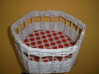 /album/kose-kosiky-a-boxy/p4120017-jpg/