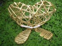 /album/srdcia/p8220030-jpg/