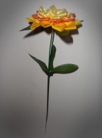 /album/ostatne-kvety-na-rozne-dekoracie/sam-5883-jpg/