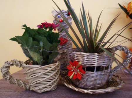 menšia šálka priemer cca 12cm  7€