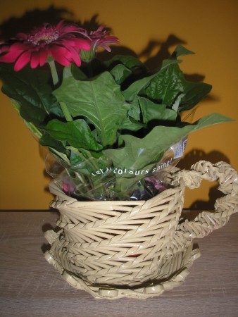 priemer cca 15cm 12€