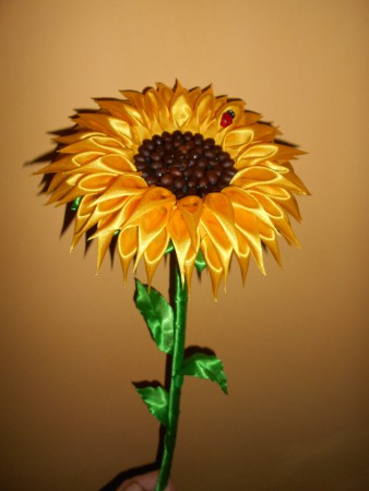 v. cca 50cm 10€